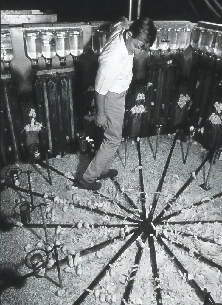 ,          .  1968   ... - 2