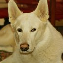 ���� �������, ��������� - ��������� 12 ������ 2025 � ������ ������ ��������