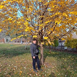 �������, ������, 41 ���