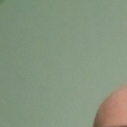 ���������, ������, 51 ���