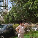 ���� �����, ����������� - ��������� 1 ������ 2024 � ������ ���� ����������