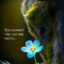 ���� ����, ����� - ��������� 12 ��� 2026 � ������ ������ ��������