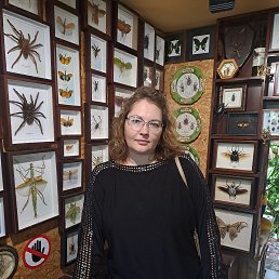 ���� �����, ������, 40 ��� - ��������� 29 ������� 2025