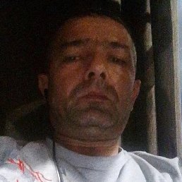 , 41,  