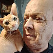 , 61 , 