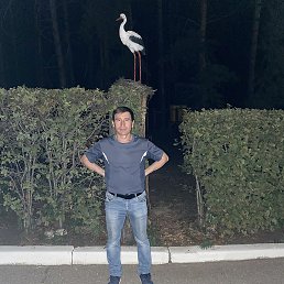 ������, ��������, 41 ���