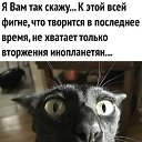 ���� ����, �������, 44 ���� - ��������� 8 ��� 2026 � ������ ������ ��������