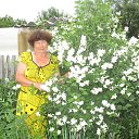 ���� ����, ������������ - ��������� 21 ������� 2024 � ������ ���� ����������