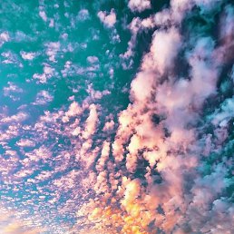 ����, ������, 38 ���