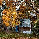 ���� ����, ��������� - ��������� 29 ������� 2025 � ������ ������ ��������