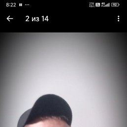 , 41, 