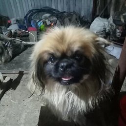 ���� ����, ����, 42 ���� - ��������� 8 ������ 2026