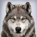 ���� ���������, �������, 80 ��� - ��������� 26 ��� 2025 � ������ ���� ����������