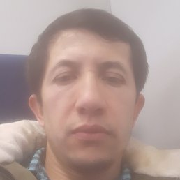 Lion, ������, 38 ���