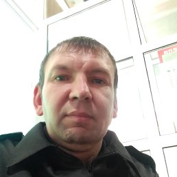 , 41, 