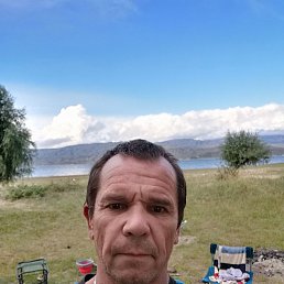 , 58, 