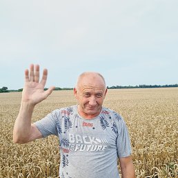 ���� ������, ������, 55 ��� - ��������� 29 ������ 2025