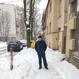 �����, �������, 51 ���