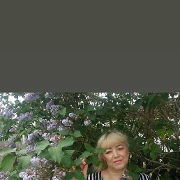 �����, �����������, 66 ���