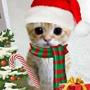 ���� ������, �������, 45 ��� - ��������� 29 ������� 2023