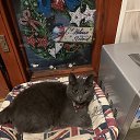 ���� �����, ������, 55 ��� - ��������� 20 ������� 2025