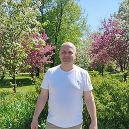 �������, �������, 43 ����