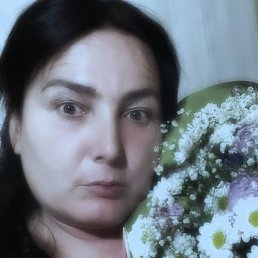 ����, �����, 44 ����