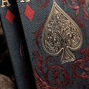 ���� Vladlena, ������, 24 ���� - ��������� 3 ������� 2026 � ������ ���� ����������