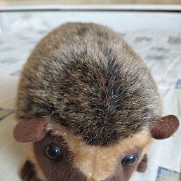 ����, ������-���, 39 ���