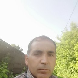 , 44 , 