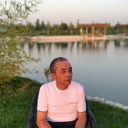 , 61, 