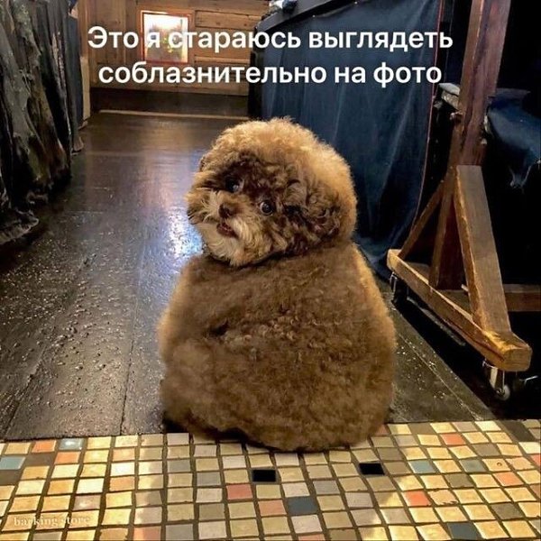 ***Victoria Viktorovna*** - 9  2025  08:41