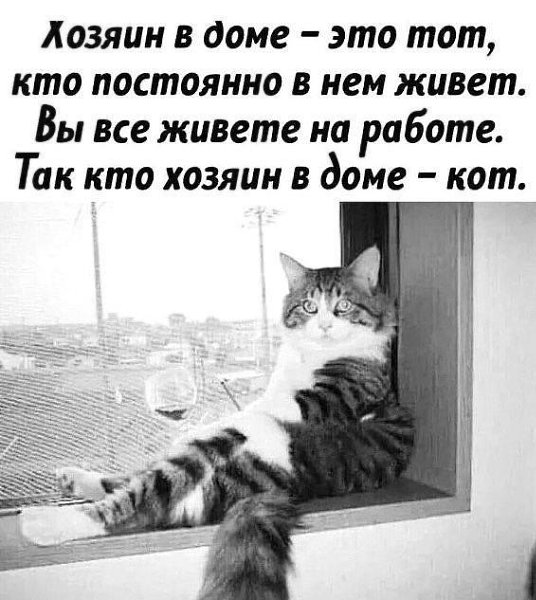  - 24  2024  03:14
