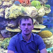 �����, 38 ���, ��������