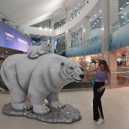 ���� ��������, ������, 33 ���� - ��������� 31 ��� 2024