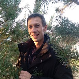 ���� ������, ������� ����, 52 ���� - ��������� 20 ������� 2026