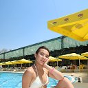 ���� �������, ��������, 33 ���� - ��������� 7 ������ 2026 � ������ ���� ����������