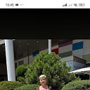 ���� ��������, �����, 50 ��� - ��������� 2 ������� 2026