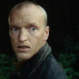 �����, 44 ����, ���������