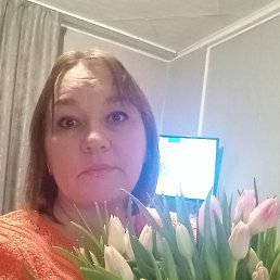 ����, 41 ���, ��������