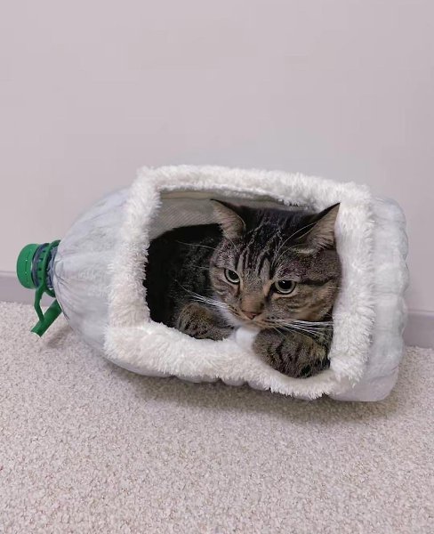 ��������))) - 4