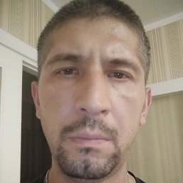 , 37, 