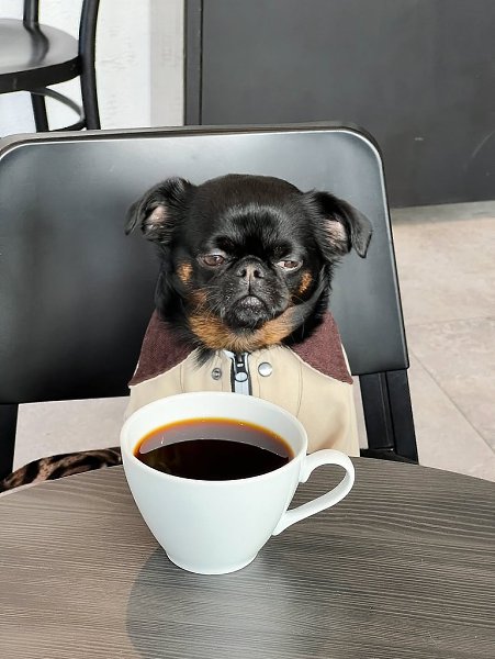 � ������ ���� �� 11:00 - 5