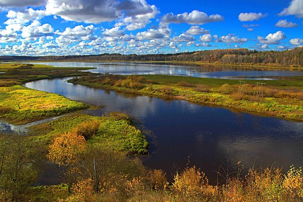 p.����. (�e�.o��) �ce��. - 4