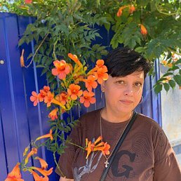 , 49, ,  
