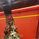 ���� ���, ����� - ��������� 15 ������� 2024 � ������ ���� ����������