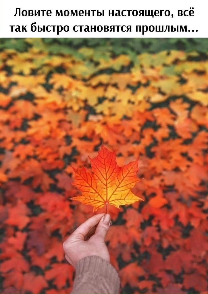 �������� ������ - 20 �������� 2025 � 12:23