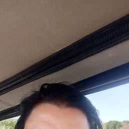 , 42,  