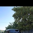 ���� ����, ������, 39 ��� - ��������� 2 ������� 2024 � ������ ���� ����������