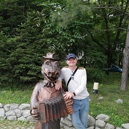 , 65 , -